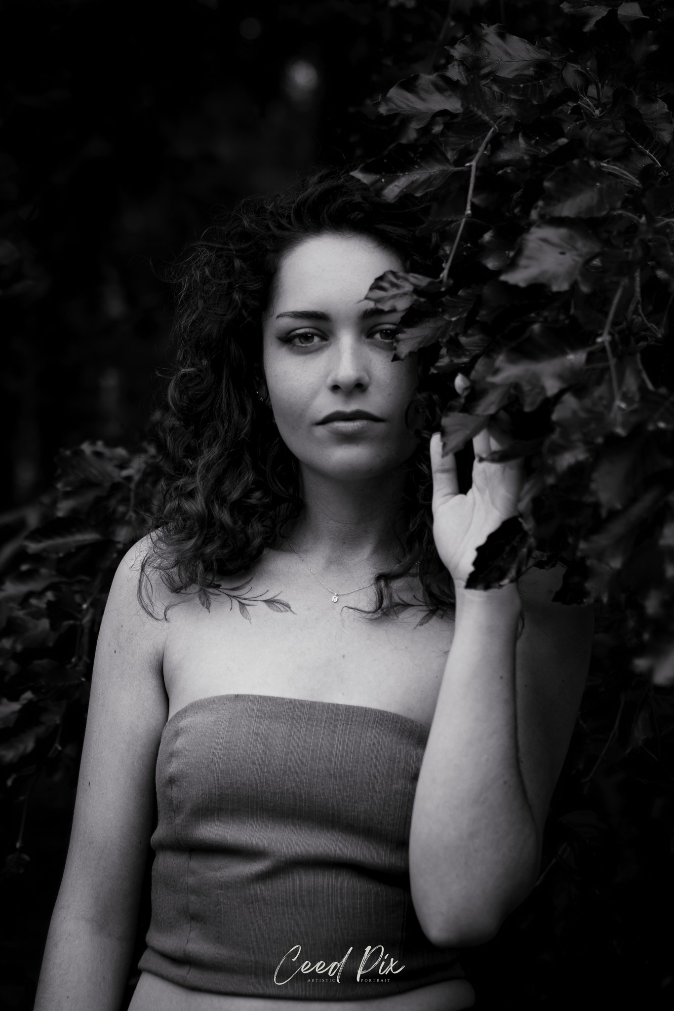Portrait — CeedPix